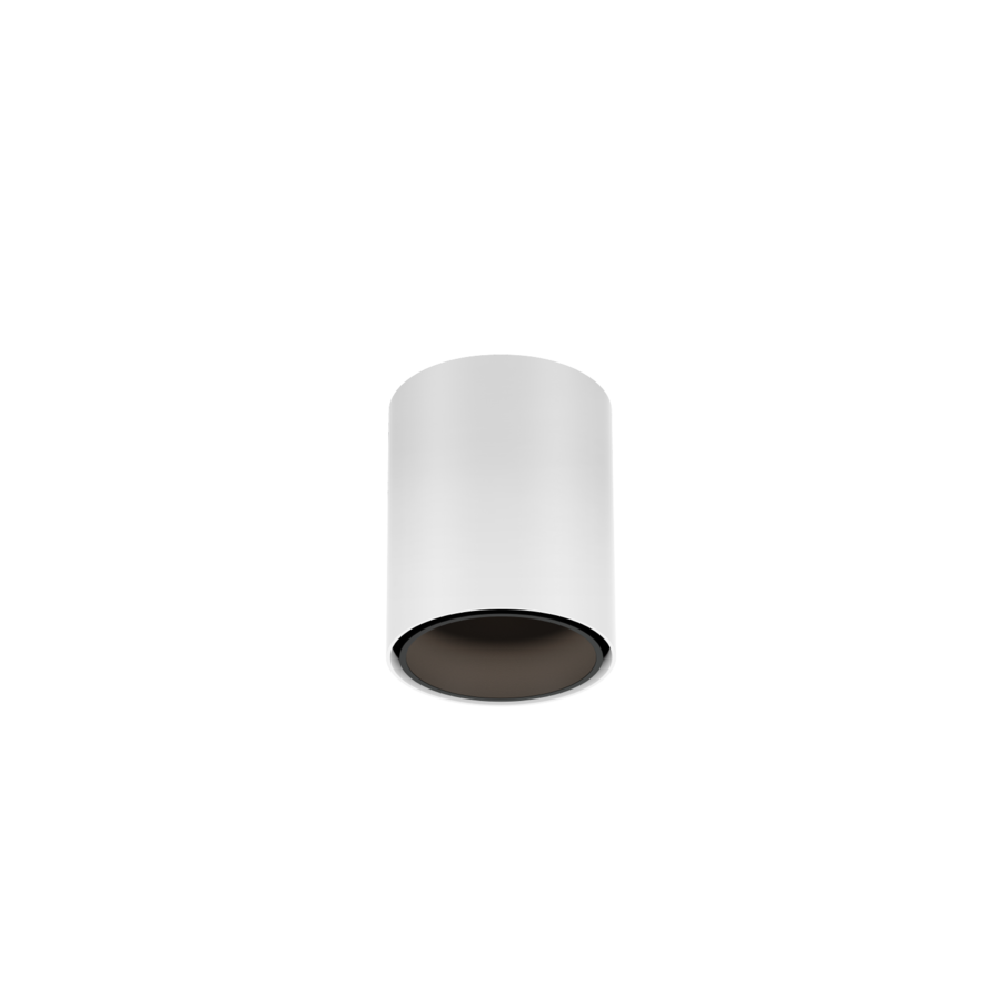 RAY MINI CEILING SURF 1.0 LED 2700K W-B