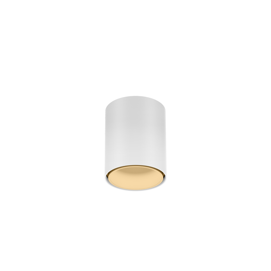 RAY MINI CEILING SURF 1.0 LED 2700K W-M