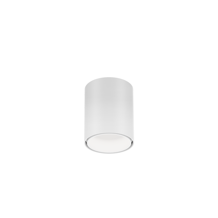 RAY MINI CEILING SURF 1.0 LED 1800-3000K W-W